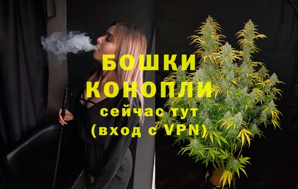 PSILOCYBIN Аркадак