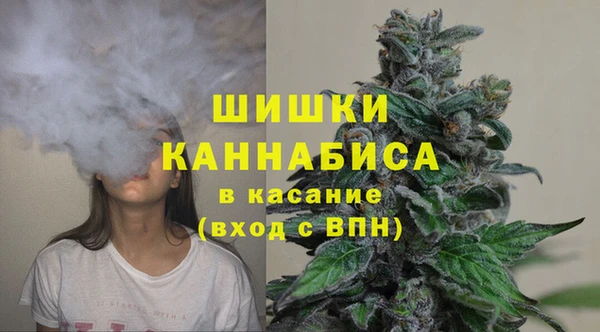 PSILOCYBIN Аркадак