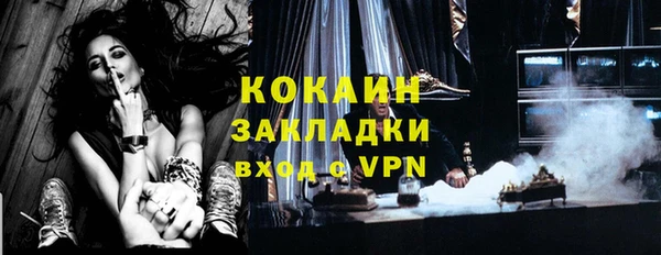 PSILOCYBIN Аркадак