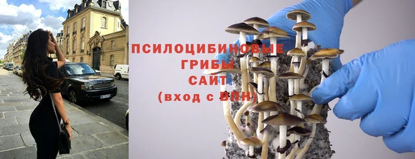 PSILOCYBIN Аркадак