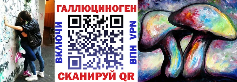 купить   Ржев  Псилоцибиновые грибы мицелий 