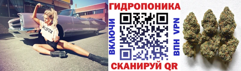 Каннабис Amnesia  дарнет шоп  Ржев 